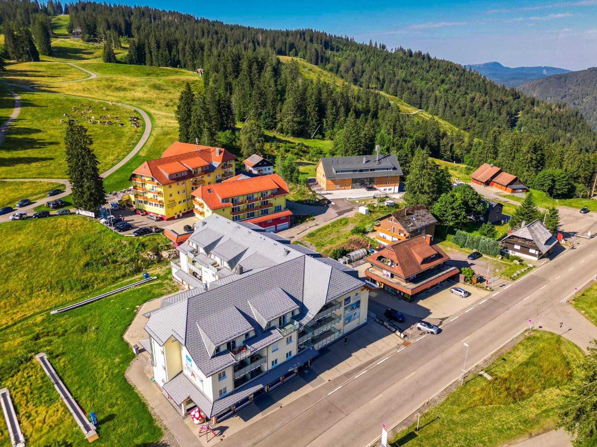 شقة Feldberg Domizil - Residenz Grafenmatt Rinken المظهر الخارجي الصورة